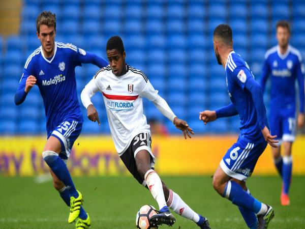 Nhận định tỷ lệ Cardiff City vs Fulham (1h45 ngày 28/7)