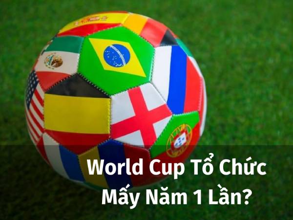 World Cup mấy năm 1 lần? Những thông tin về World Cup