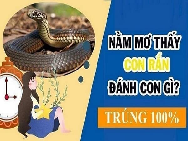 Mơ thấy rắn đánh con gì cho nhanh lên đời