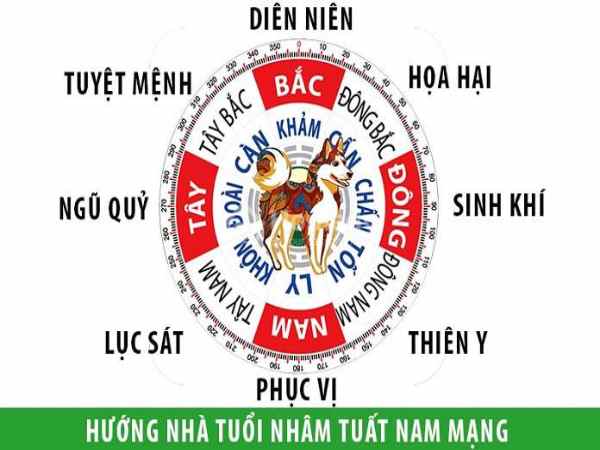 Hướng nhà hợp tuổi Nhâm Tuất? Cách xem hướng nhà tuổi 1982