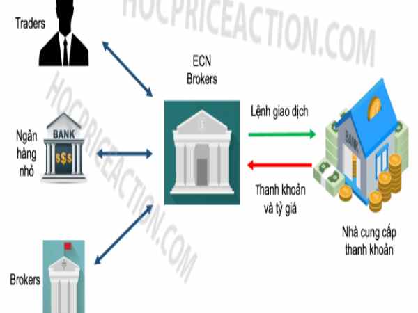 True ecn là gì? Top nhà môi giới ECN tốt nhất hiện nay