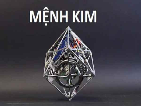 Cây cảnh hợp với mệnh Kim mang lại phong thủy cực tốt