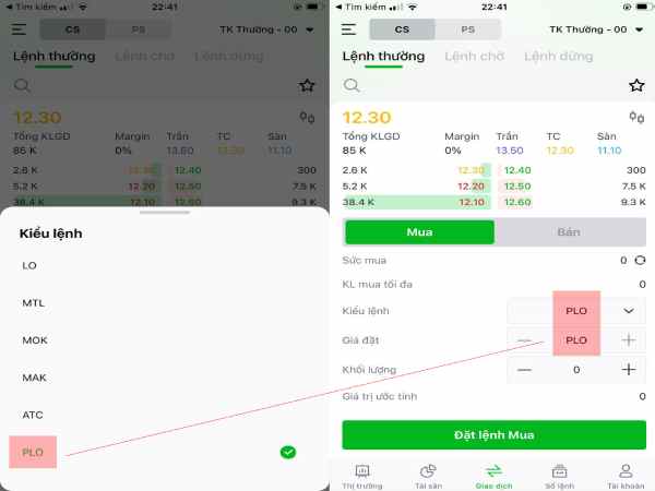 Cách đặt lệnh PLO trong chứng khoán