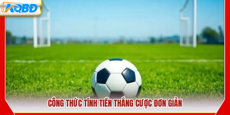 Hướng dẫn tính tiền thắng cược dễ hiểu