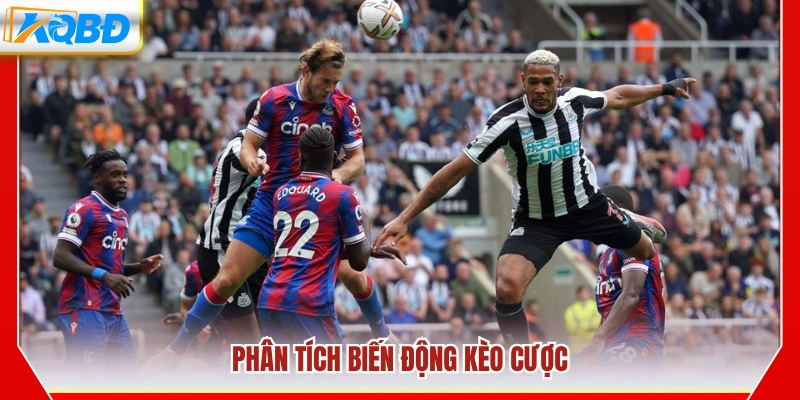 Đánh giá sự thay đổi của tỷ lệ kèo theo thời gian