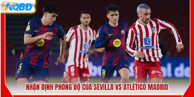 Xem xét hiệu suất thi đấu của hai đội